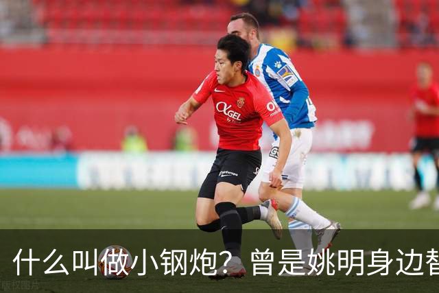 什么叫做小钢炮？曾是姚明身边替补！20年NBA赚2.82亿