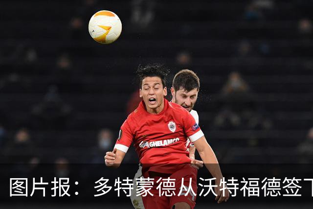 图片报：多特蒙德从沃特福德签下了一位草坪管理专家
