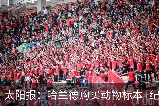 太阳报：哈兰德购买动物标本+纪念品并为队友买单，花费约1万美元