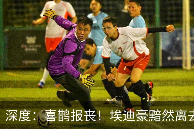 深度：喜鹊报丧！埃迪豪黯然离去 大病纽卡一地鸡毛