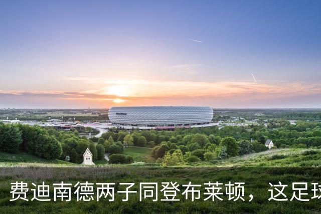 费迪南德两子同登布莱顿，这足球“父子档”能成吗？