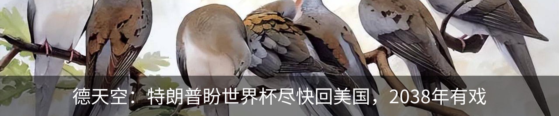 热点资讯