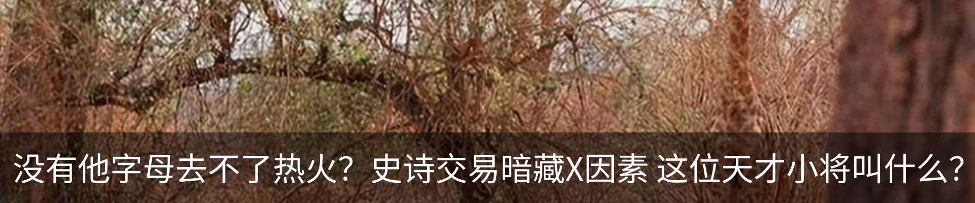 热点资讯